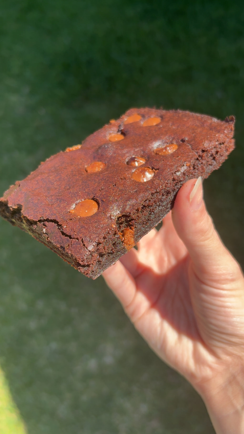 Brownie box