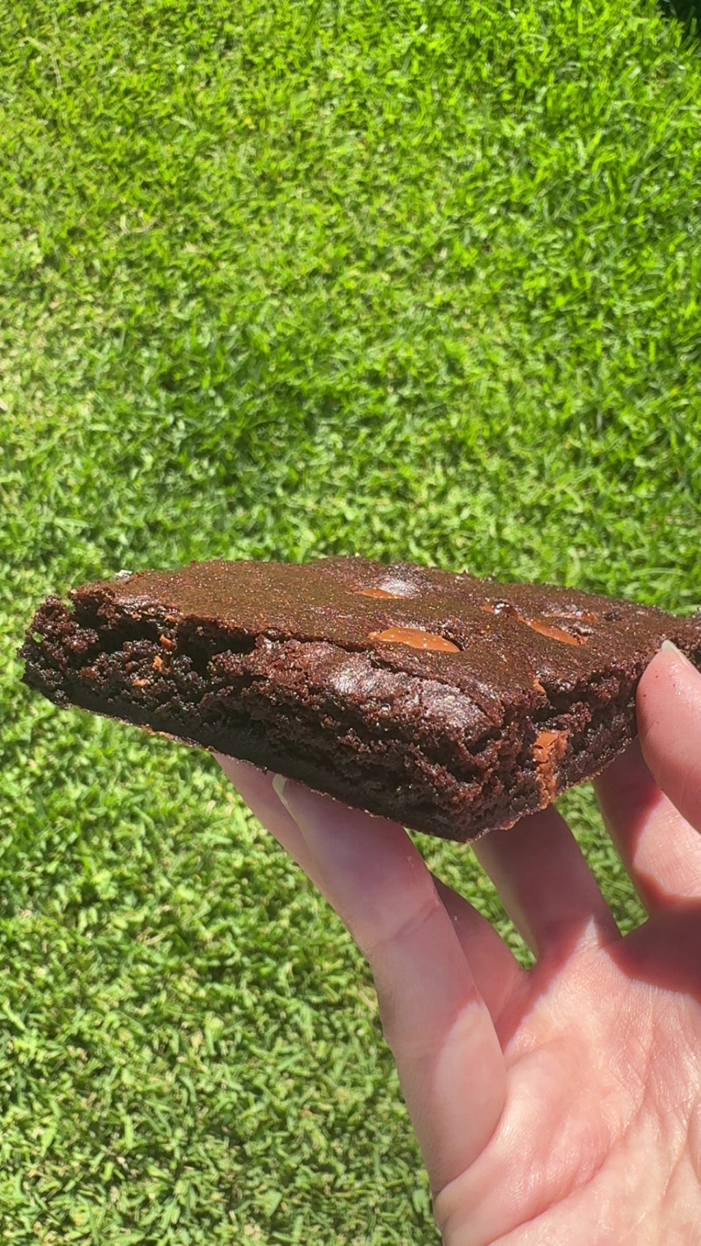 Brownie