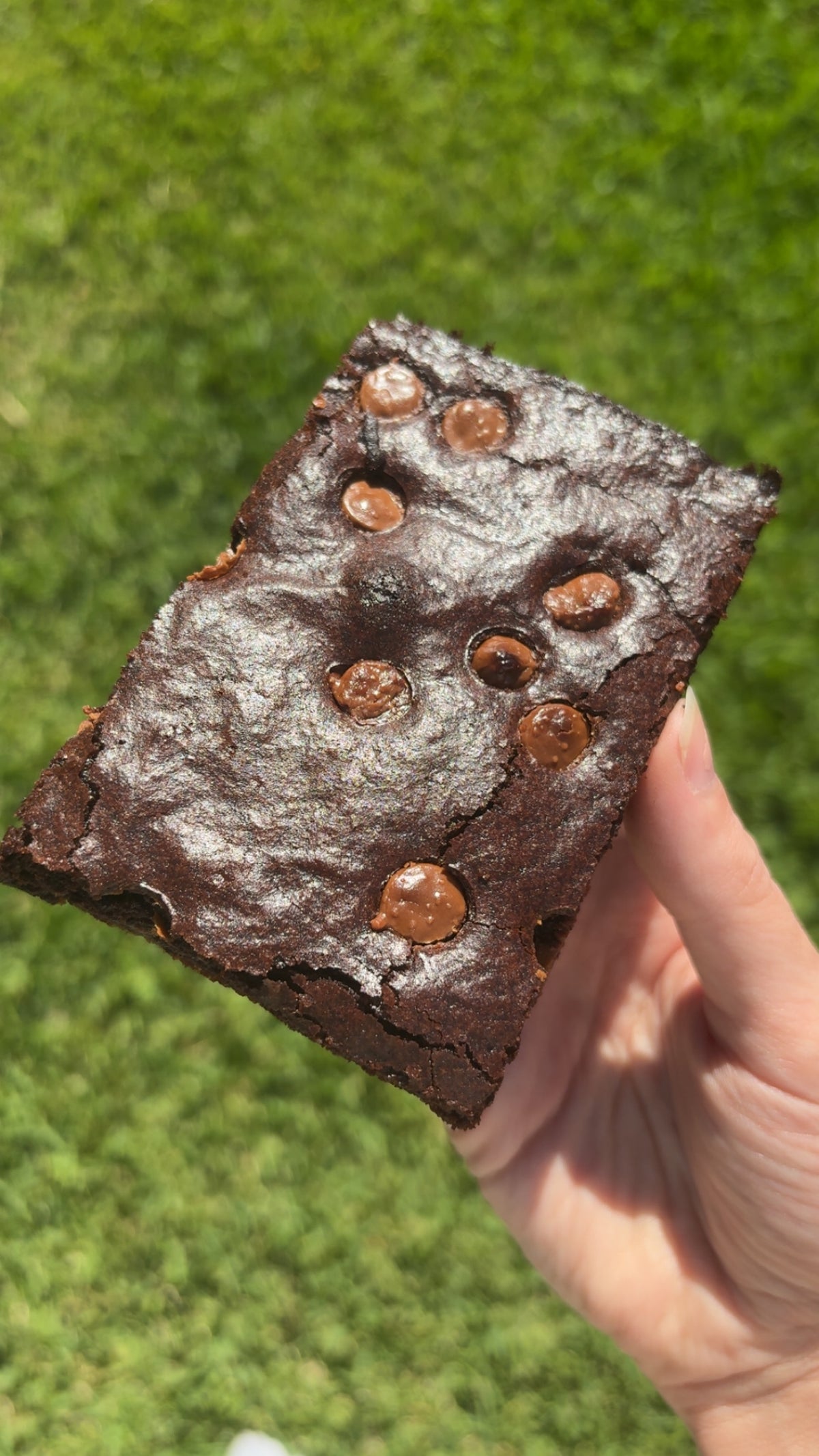 Brownie