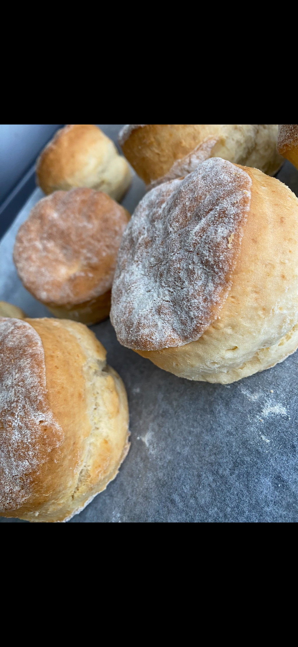 X2 Plain Scones