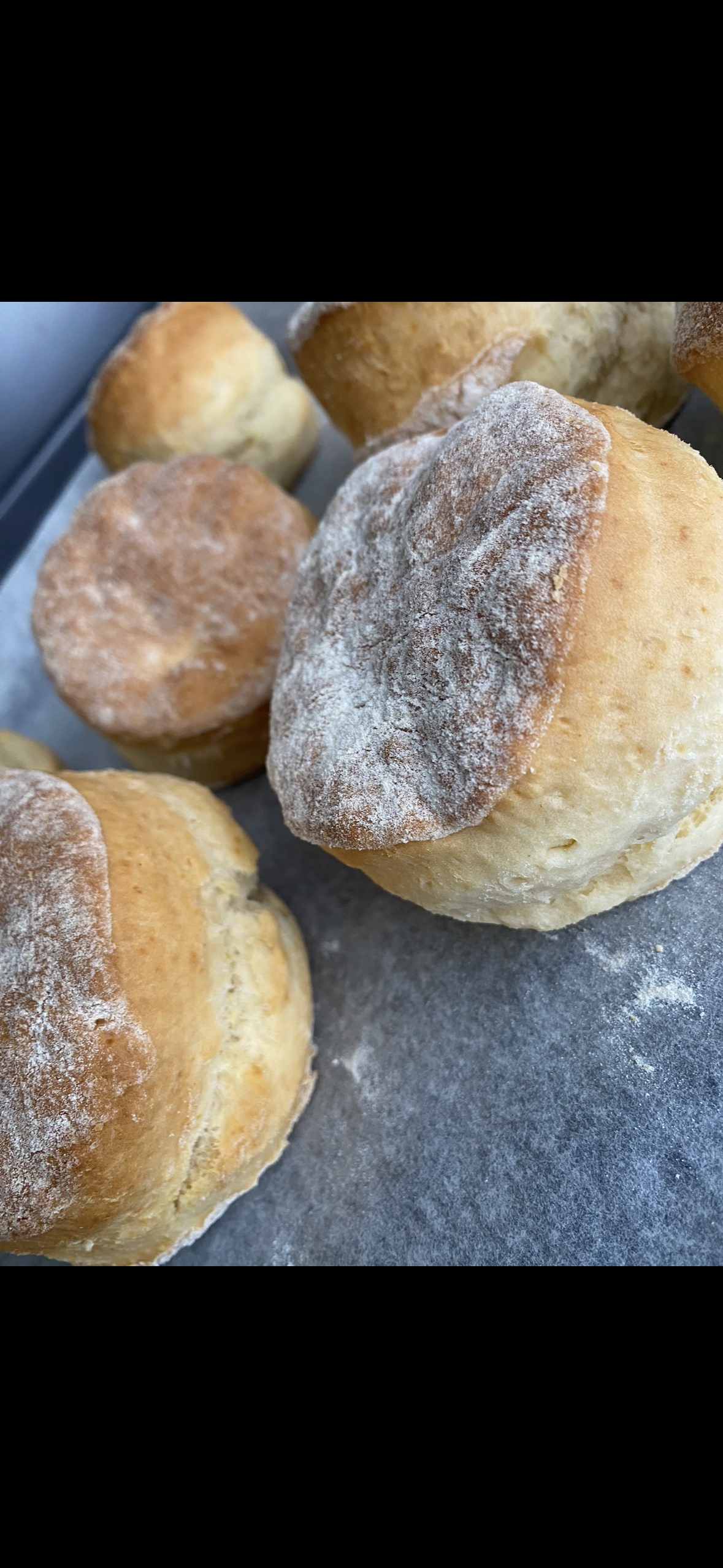 X2 Plain Scones