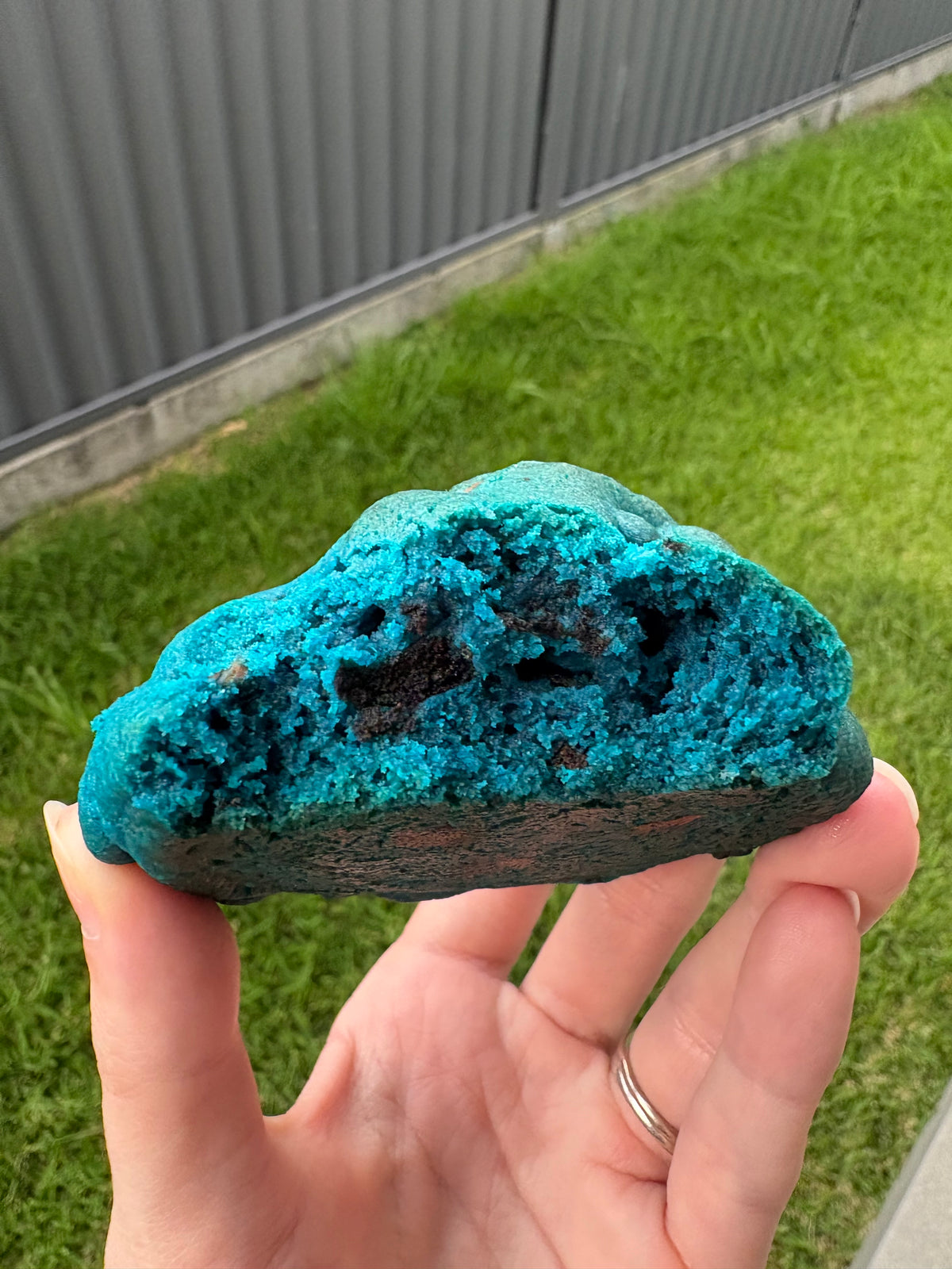 Cookie Monster