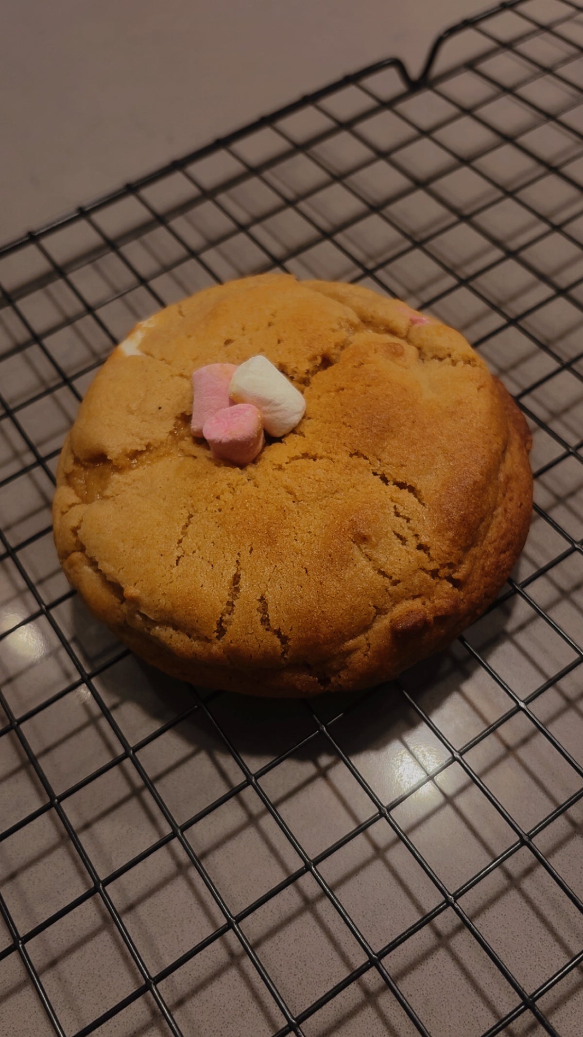 Cinnamallow Cookie